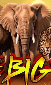 The Big 5 - Video-Slot (Exclusive)