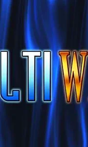 Multi Wild - Video-Slot (Merkur)